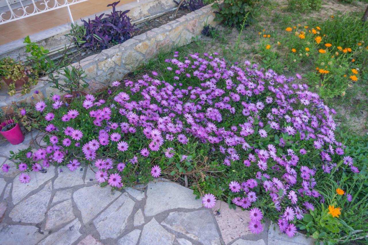 Mema'S Tranquil Apartment In Patra エクステリア 写真